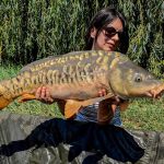 47443454922189969690117620519595967620946379 n    