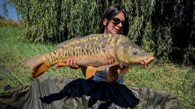 47443454922189969690117620519595967620946379 n    