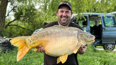 494536460 122210274458117620 n