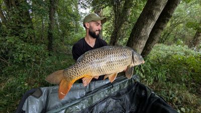 474758074 122190583838117620 n