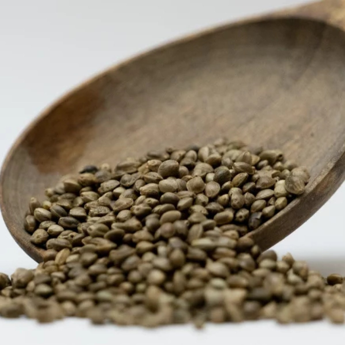 1050017-1-000595000-1739962664_medium