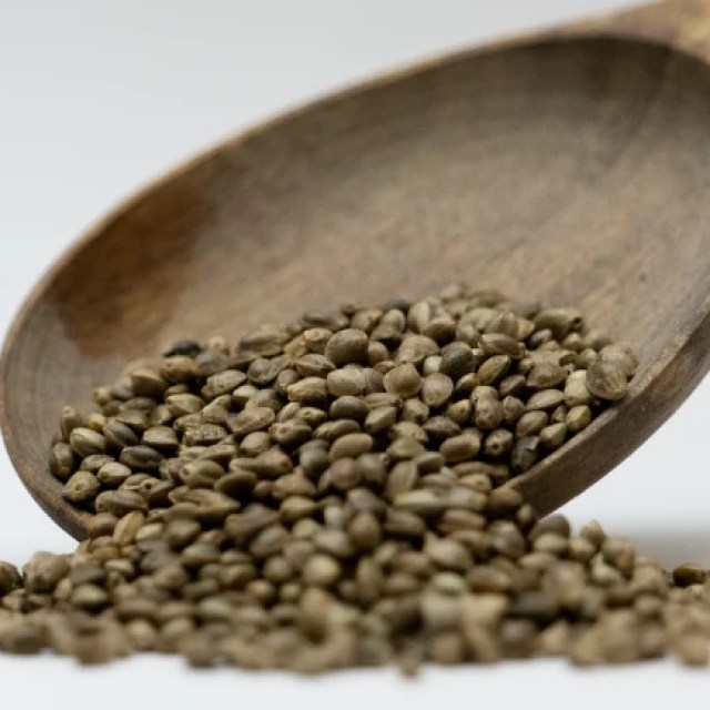 1050017-1-000595000-1739962664_medium