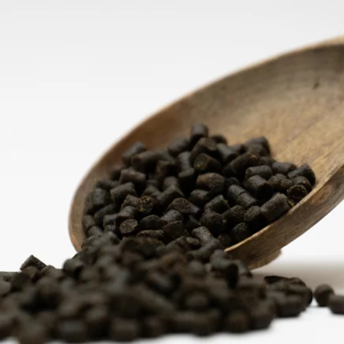 1070003-1-021244400-1739962030_medium