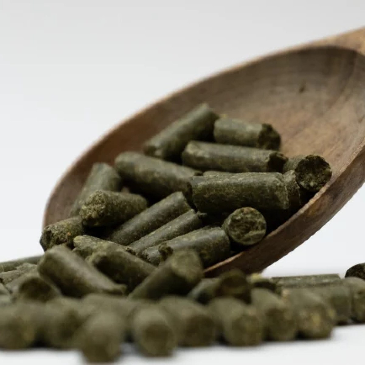 1079005-1-042994000-1739962095_medium