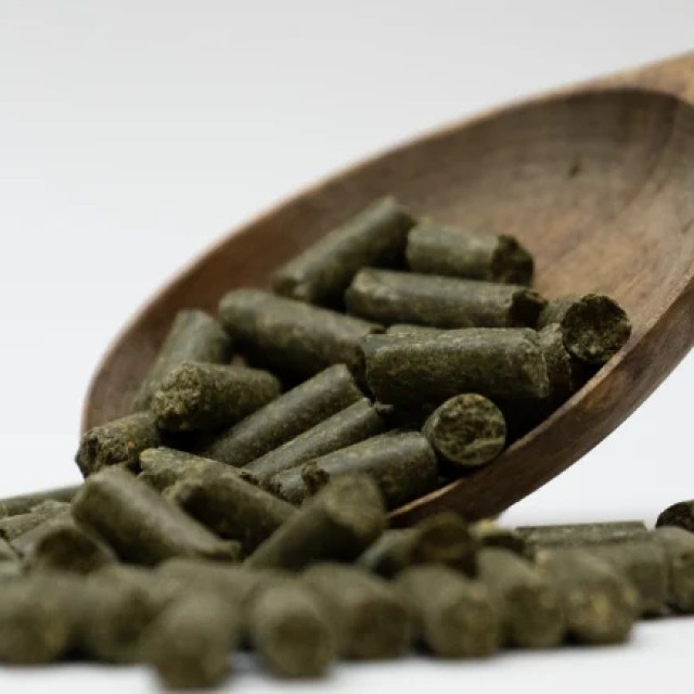 1079005-1-042994000-1739962095_medium