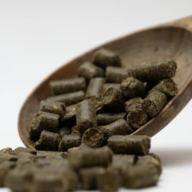 1079007-1-057137900-1739962098_medium